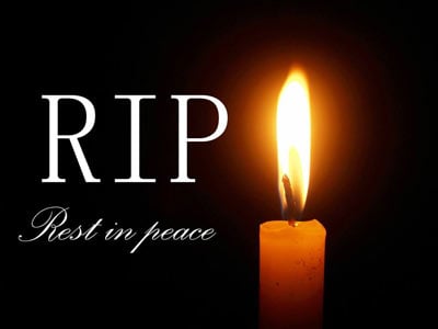 Mikayla Raines Cause of Death: SaveAFox Founder Remembered for a Life Devoted to Rescuing Animals